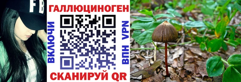 Псилоцибиновые грибы ЛСД  Камызяк 
